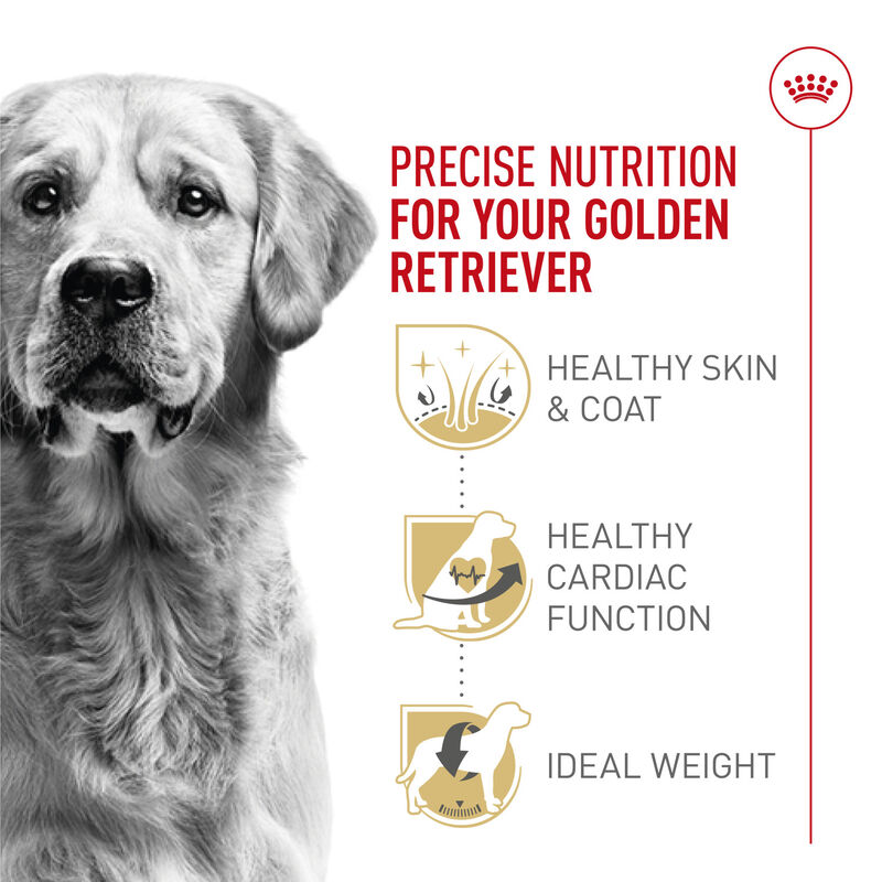 Royal Canin, Breed Health Nutrition Golden Retriever Adult - Dry Dog Food image number null