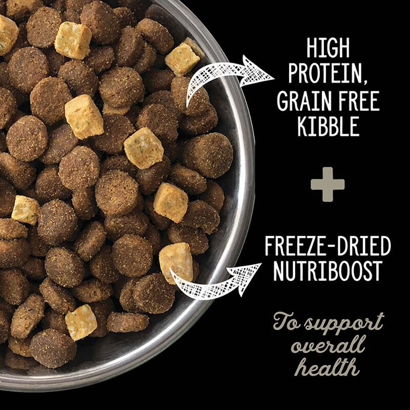 Nutrience, Adult - SubZero Grain Free - Northern Lakes - Dry Dog Food image number null