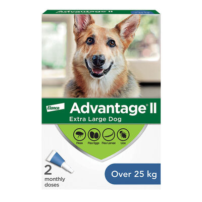 Advantage II, Extra Large Dog Flea Treatment & Protection, >25kg