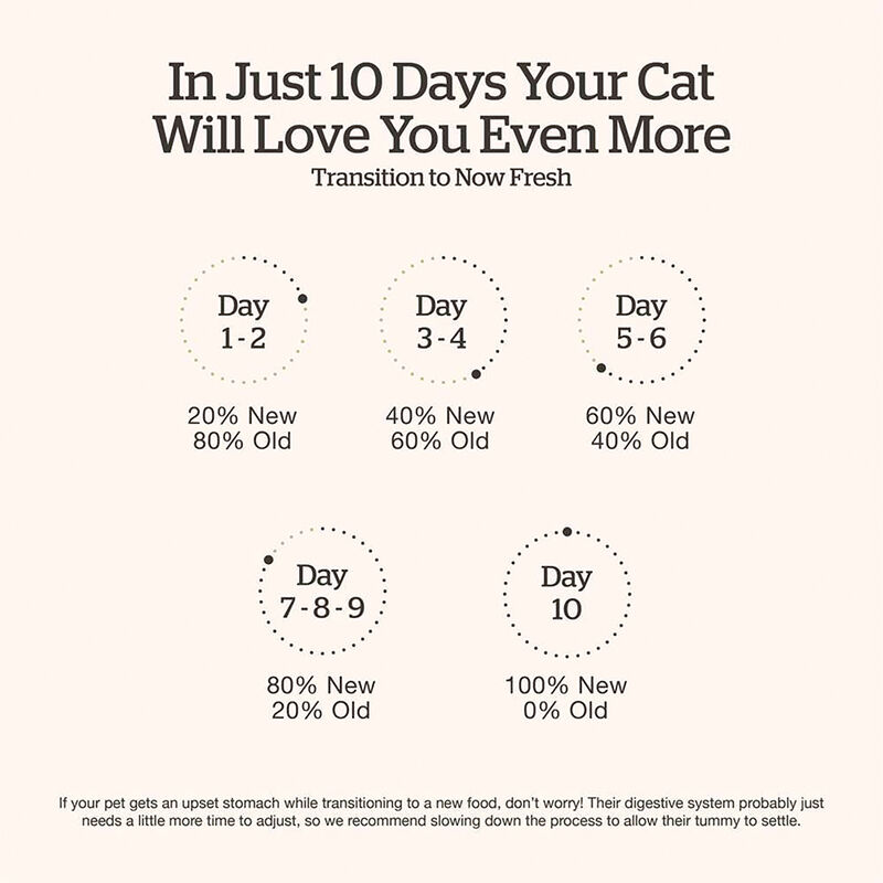 NOW FRESH, Feline Adult Grain Free - Dry Cat Food image number null