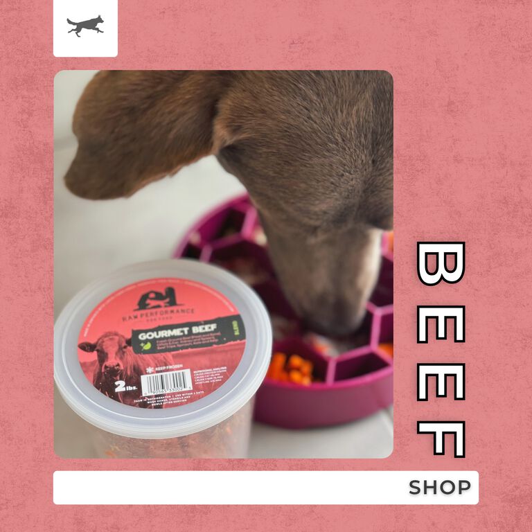 Shop Beef