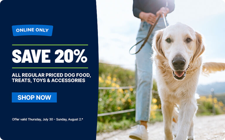 Save 20% online-only offer on regular-priced dog food, treats, toys, and accessories, featuring a dog on a leash outdoors.