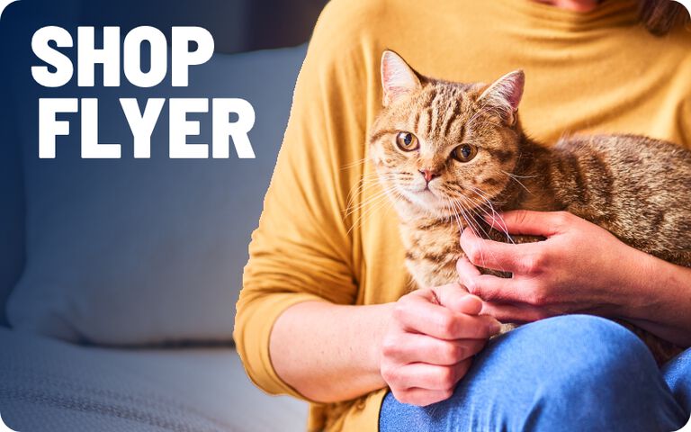 Person sitting on a couch holding an orange tabby cat, with the text "Shop Flyer" displayed on a blue background.
