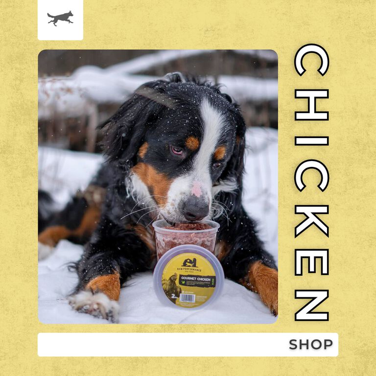 Shop Chicken