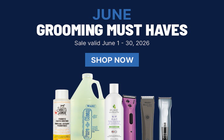 June Grooming Must Haves: Shop Now