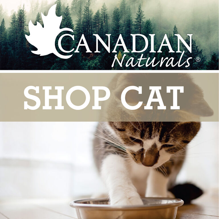 Shop Cat