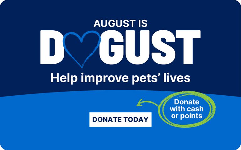 August is Dogust. Help improve pets' lives. Donate Today.