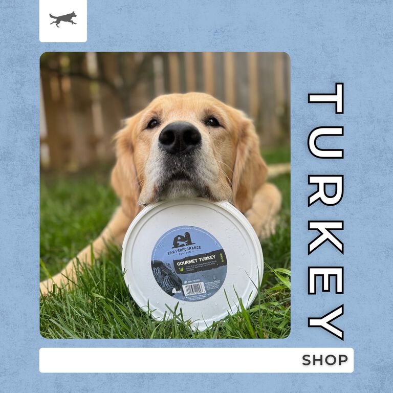 Shop Turkey