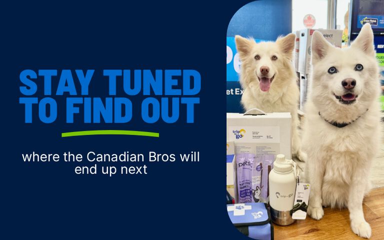 Stay tuned to find out where the Canadian Bros will end up!