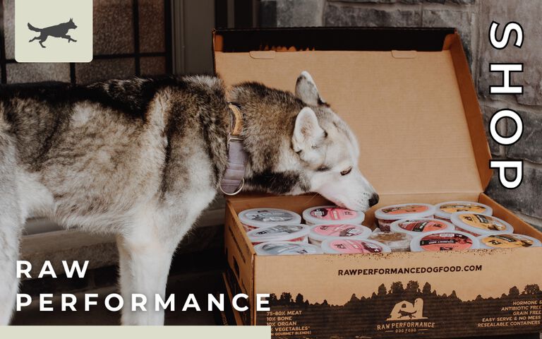 Raw Performance
