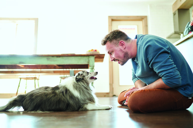 Owner training dog