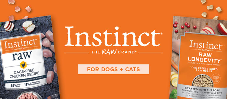 Instinct
