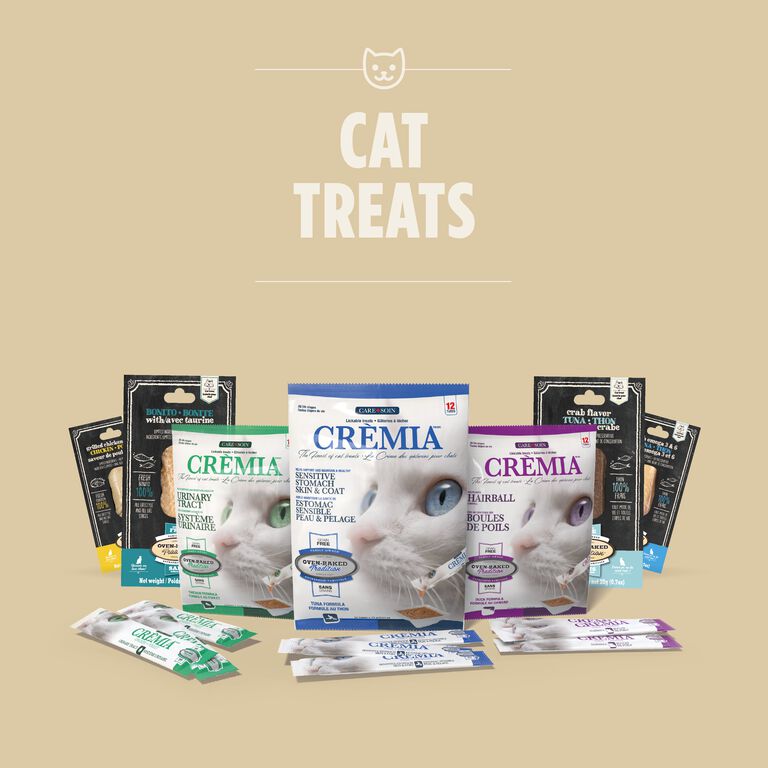 Cat: Treats