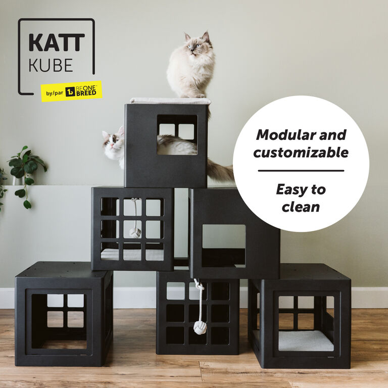Shop Cat Trees