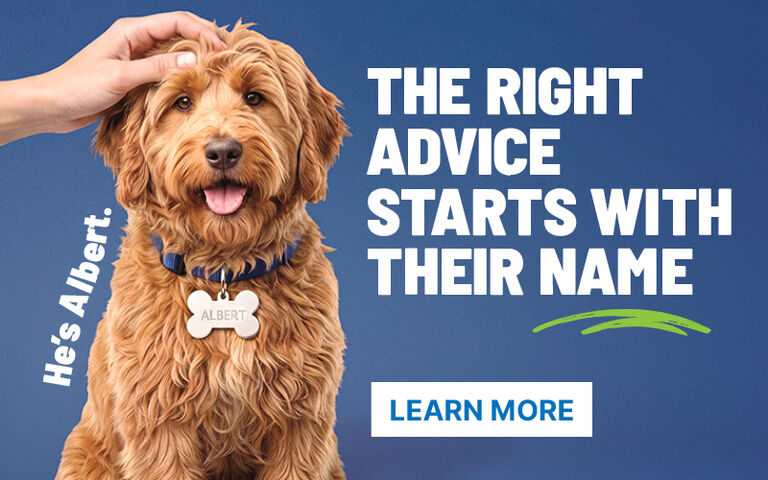 The Right Advice Starts with Their Name. Learn more.