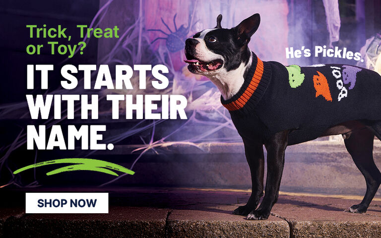 Black dog wearing a Halloween-themed sweater with ghost designs stands in front of spooky cobweb decorations. Promotional banner text reads, &ldquo;Trick, Treat or Toy? It starts with their name. He&rsquo;s Pickles&rdquo; with a &ldquo;Shop Now&rdquo; button.