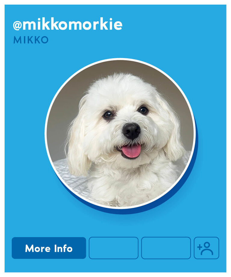 Mikko