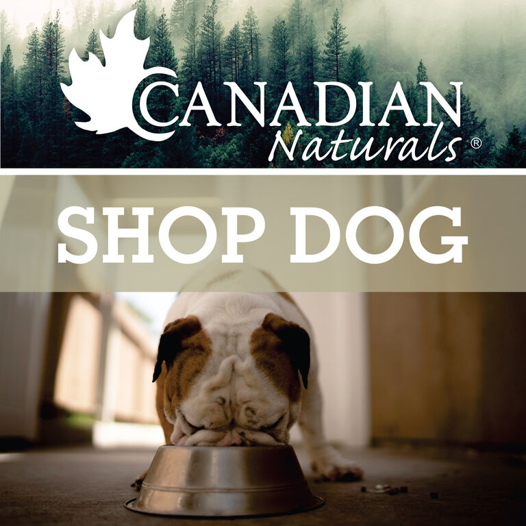 Shop Dog