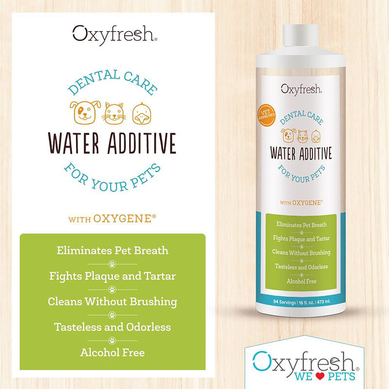 Oxyfresh, Dental Hygiene Solution - 16 oz image number null