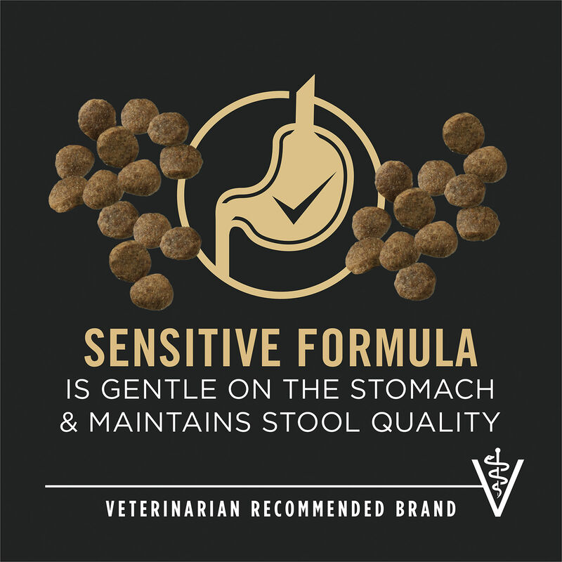 Purina Pro Plan Sensitive Skin & Stomach Puppy  with Probiotics, Salmon & Rice, Dry Dog Food Formula image number null