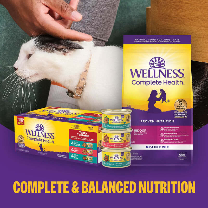 Wellness, Canned Cat Food, Complete Health, Turkey & Salmon - Wet Cat Food image number null