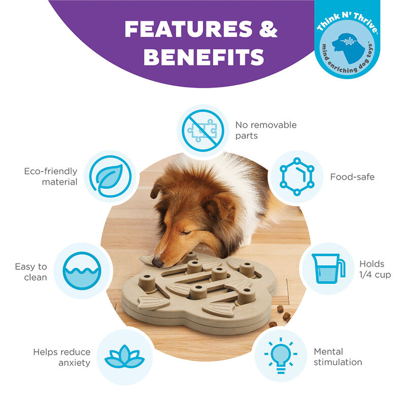 Outward Hound, Nina Ottosson, Hide-N-Slide Treat Puzzle image number null