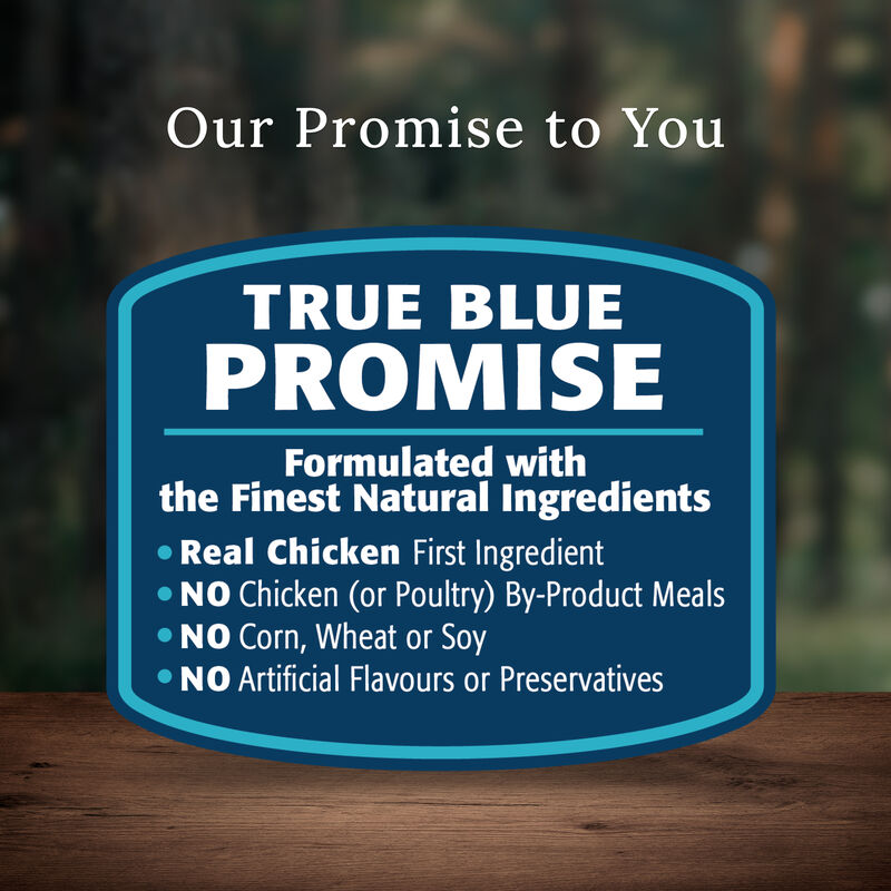 Blue Buffalo, Wilderness with More Meat & Wholesome Grains Adult Dog - Chicken - Dry Dog Food image number null