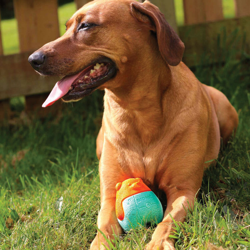 Bionic Super Squeak Ball Dog Toy  image number null
