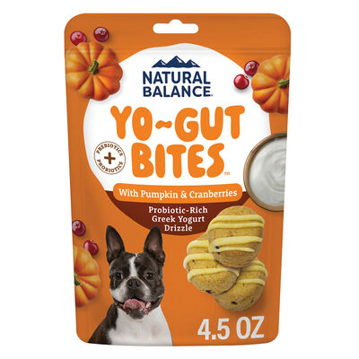 Natural Balance, Yo-Gut Bites Pumpkin & Cranberries &ndash; Dog Treats