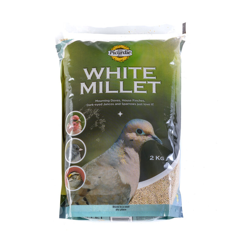 Picardie White Millet Food for Wild Birds - 2 kg image number null