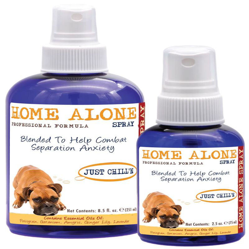 Home Alone Spray image number null