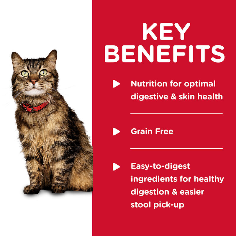 Science Diet, Adult Sensitive Stomach & Skin Chicken & Vegetable Entr&eacute;e - 82 g - Wet Cat Food image number null