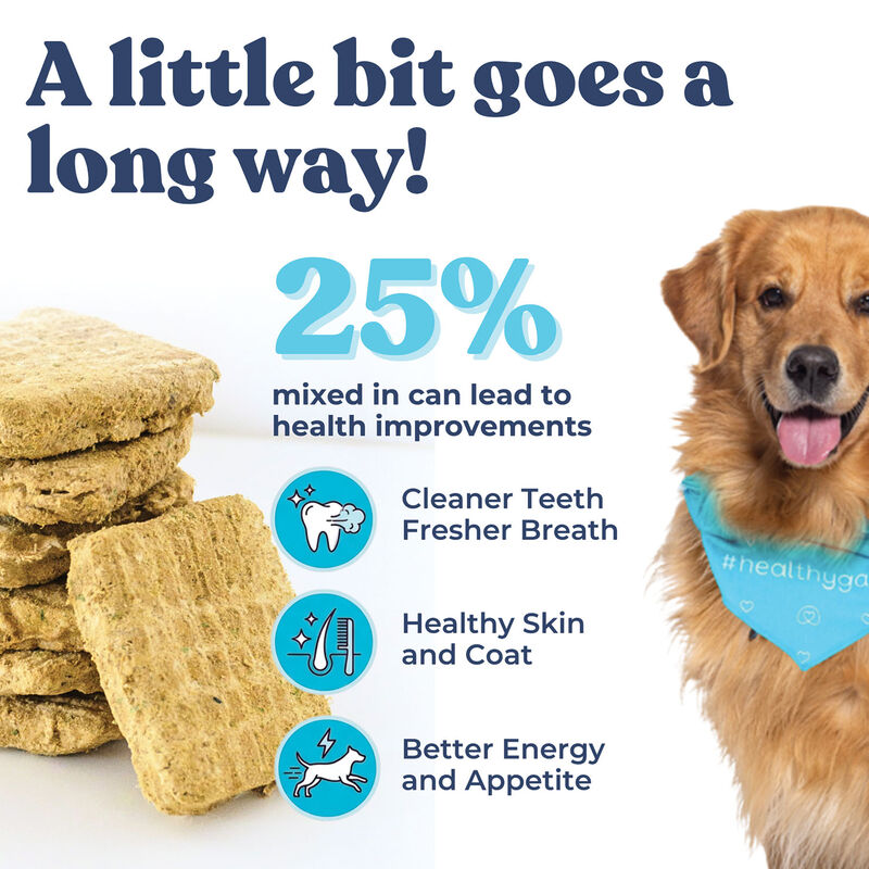 Healthybud, Freeze-Dried Turkey Meal Patties 397g - Freeze Dried Dog Food image number null