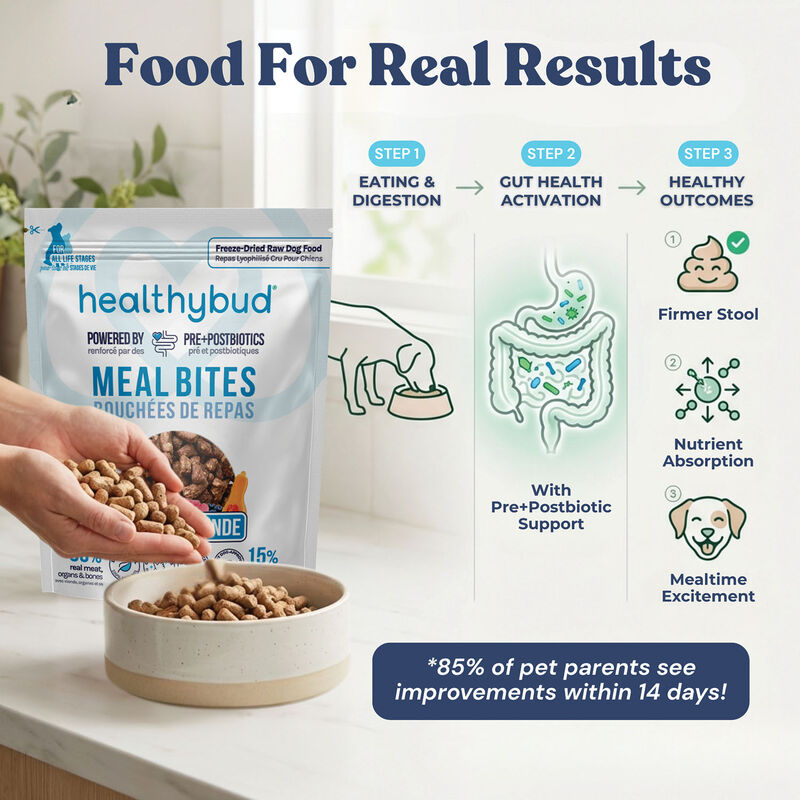 Healthybud, Freeze-Dried Turkey Meal Bites 397g - Freeze Dried Dog Food image number null