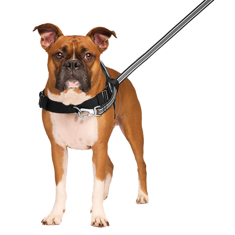 Canada Pooch, Re-Direct Harness - Black/Grey image number null