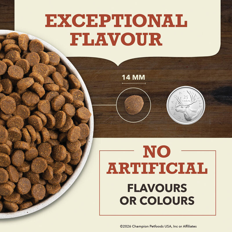 Acana, Limited Ingredient Diet, Beef with Pumpkin Recipe - Dry Dog Food image number null