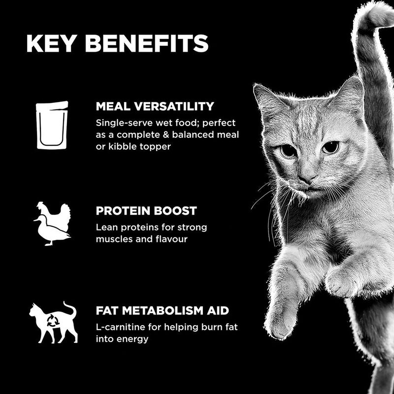 GO! SOLUTIONS,  BOOSTER Weight Management Shredded Chicken + Duck in broth - 71 g - Wet Cat Food image number null