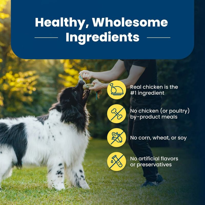 Adult - LP - Healthy Weight - Chicken - 11.7 kg image number null