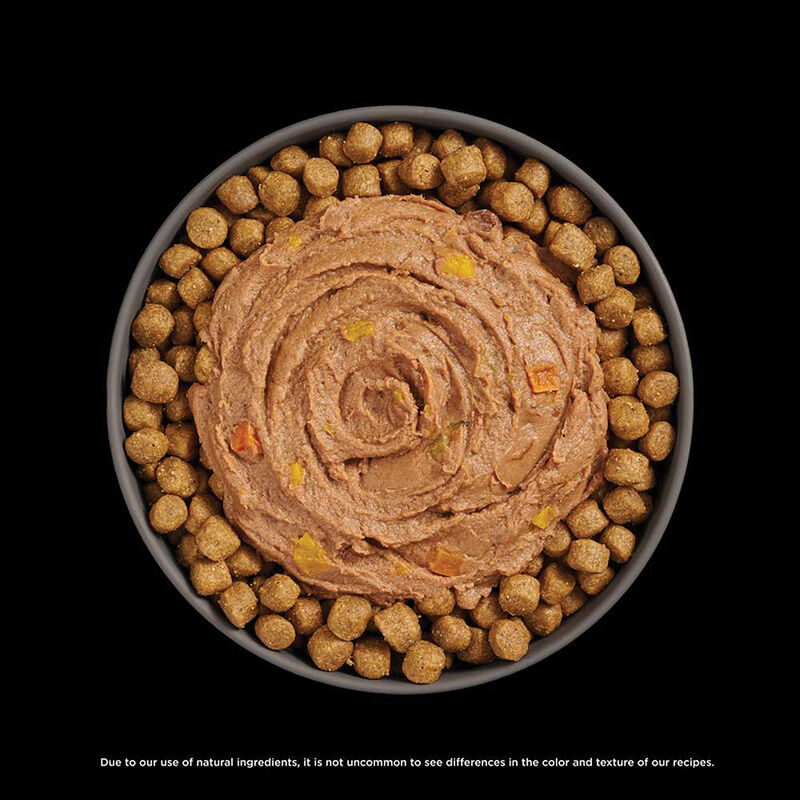 GO! SOLUTIONS,  BOOSTER Digestive Health Tuna + Salmon Pate - 71 g - Wet Cat Food image number null