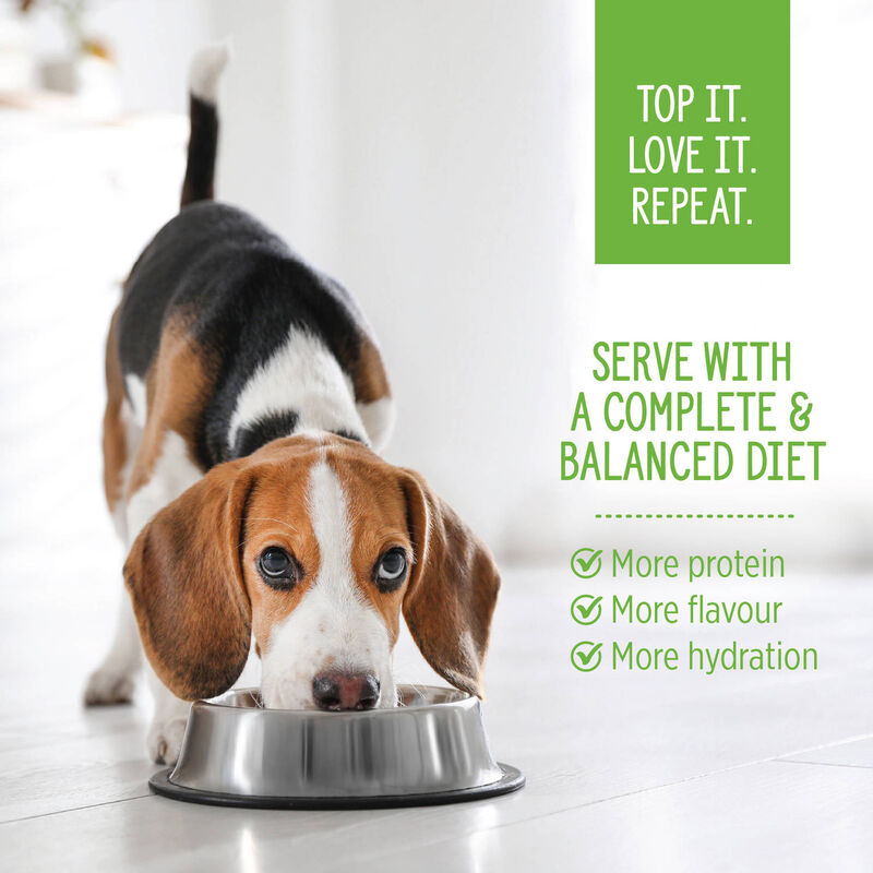 Nutrience, Homestyle Topper Chicken Florentine &ndash; Dog Wet Food image number null