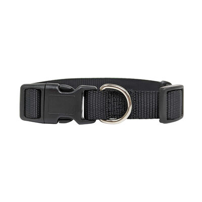 Brigade, Nylon Dog Collar - Black