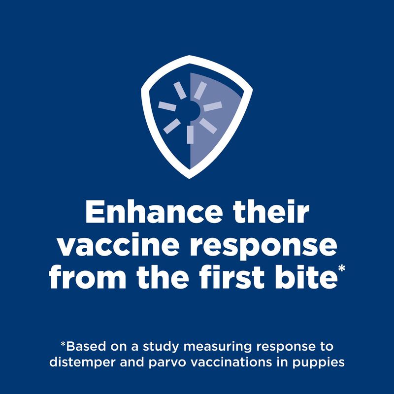 Science Diet, Puppy Small Bites Chicken & Brown Rice Recipe - Dry Puppy Food image number null