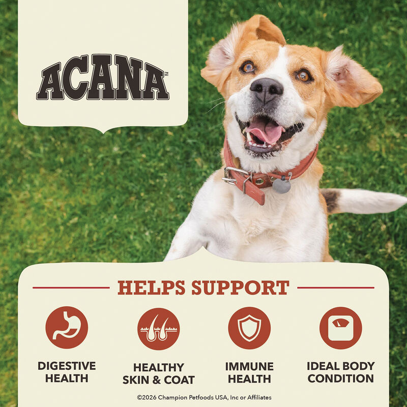 Acana, Limited Ingredient Diet, Beef with Pumpkin Recipe - Dry Dog Food image number null