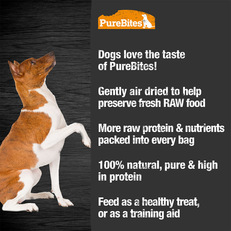 PureBites, Mid Size Treats - Duck Jerky - 156 g - Freeze Dried Dog Treat image number null