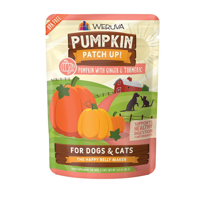Weruva, Pouch, Adult - Pumpkin Patch Up - Ginger & Turmeric - Puree - Wet Dog Food image number null