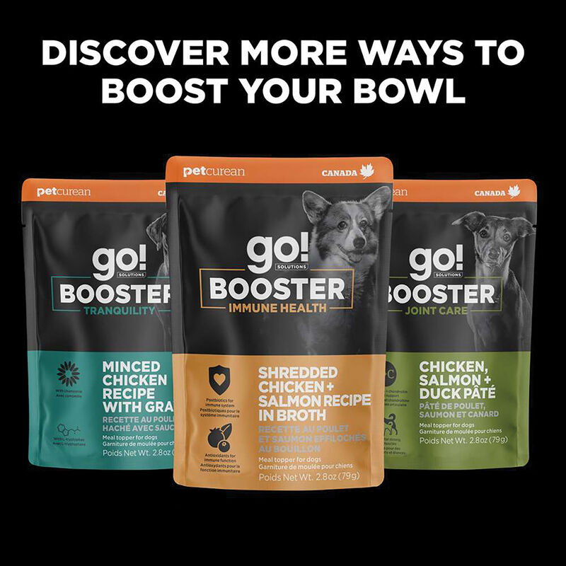 GO! SOLUTIONS,  BOOSTER Digestive Health Chicken + Duck Pate - 78 g - Wet Dog Food image number null