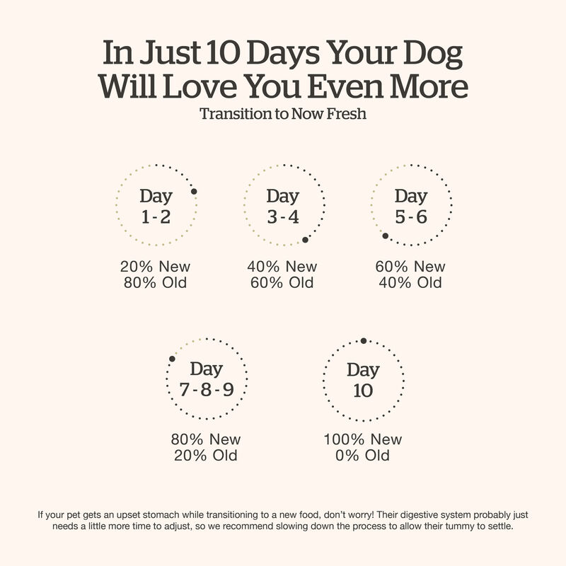 Good Gravy - Beef Coated in Bone Broth - Senior Dry Dog Food image number null