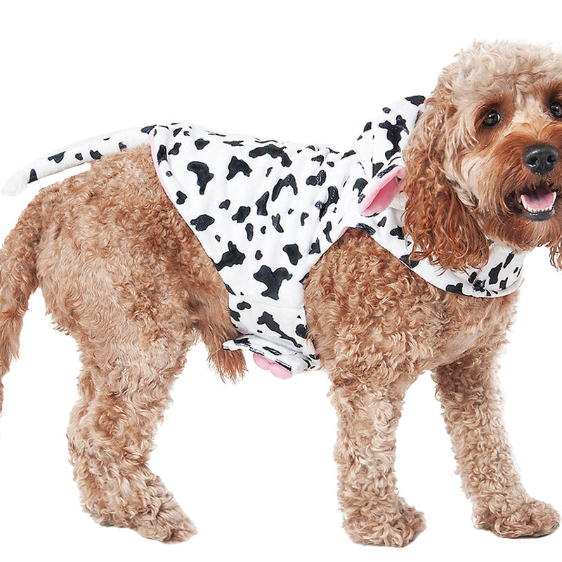 Pet Posse, Cow image number null