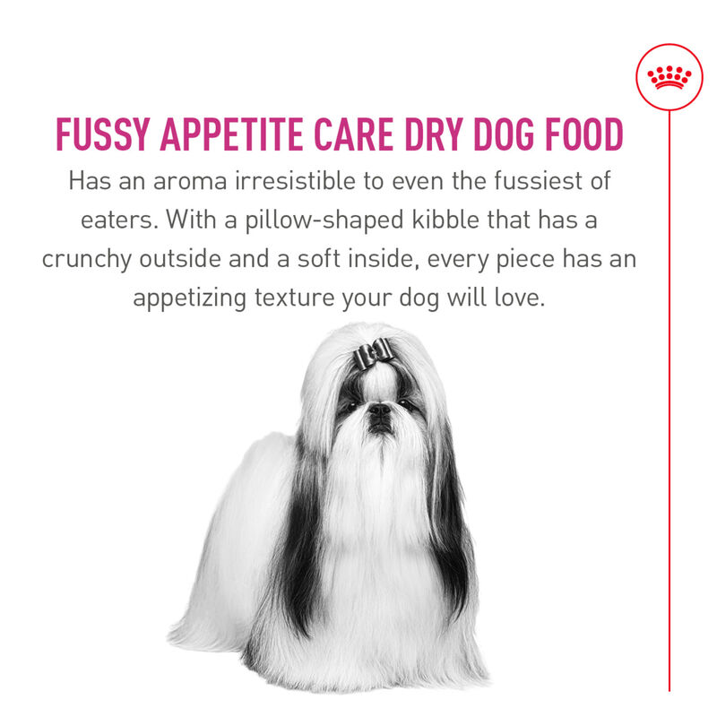 Royal Canin, Canine Care Nutrition Small Breed Fussy Appetite - 1.58 kg - Dry Dog Food image number null