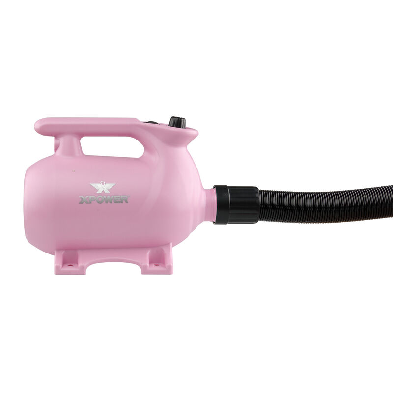 XPower Canada Heated High Velocity Dryer image number null
